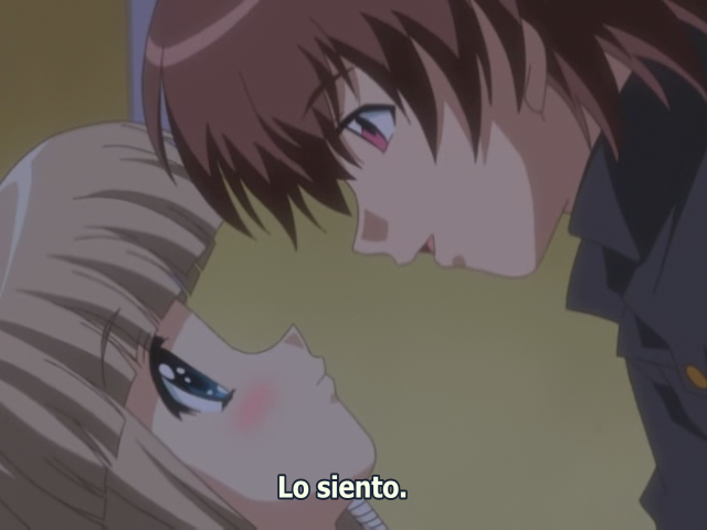 Maple Colors (Animex)